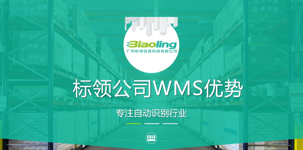 標(biāo)領(lǐng)WMS的四大優(yōu)勢(shì)