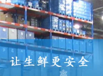 智能WMS冷庫管理系統(tǒng)：優(yōu)化庫存管理的新策略
