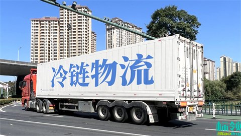 小型冷庫的管理痛點(diǎn)：為何引入WMS系統(tǒng)是提升業(yè)務(wù)的關(guān)鍵？